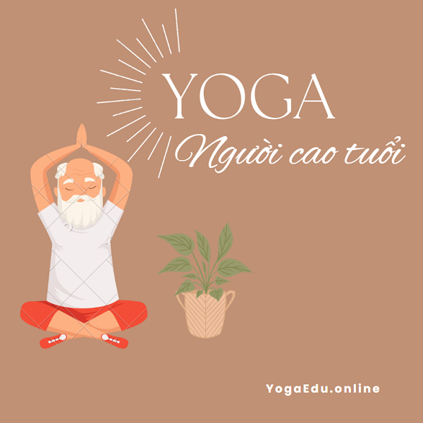 Yoga Người Cao Tuổi