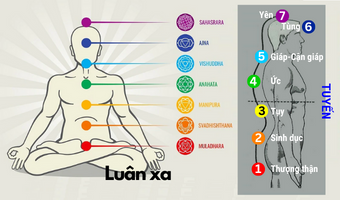 Chakras